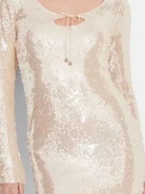Wild fable  Long Sleeve Scoop Neck Dress in Champagne